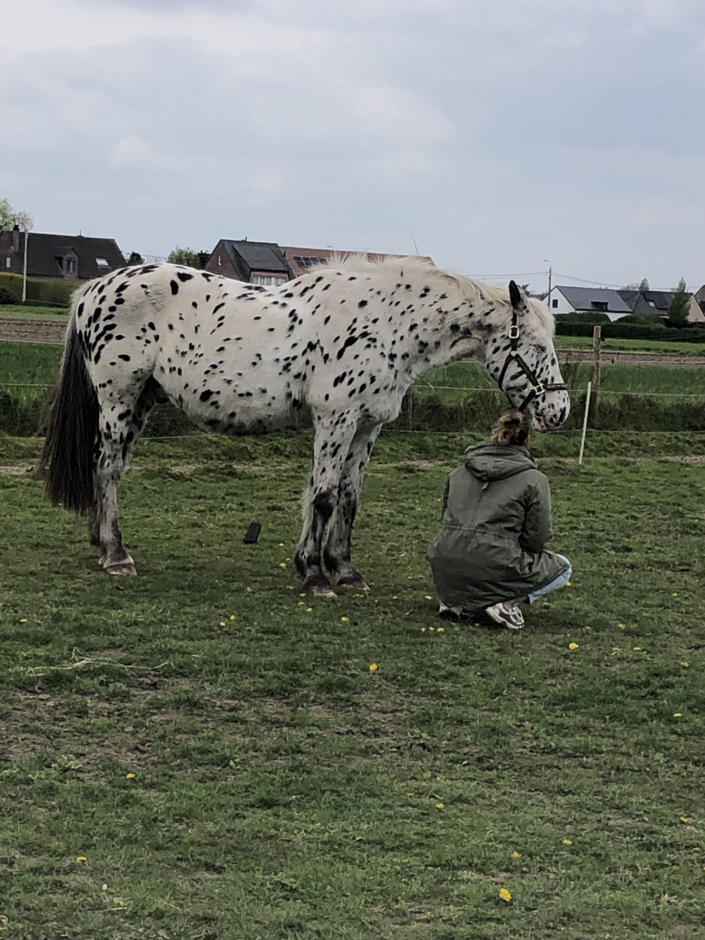 Jonge vrouw komt tot rust bij een paard op de weide. Ruimte voor reflectie.