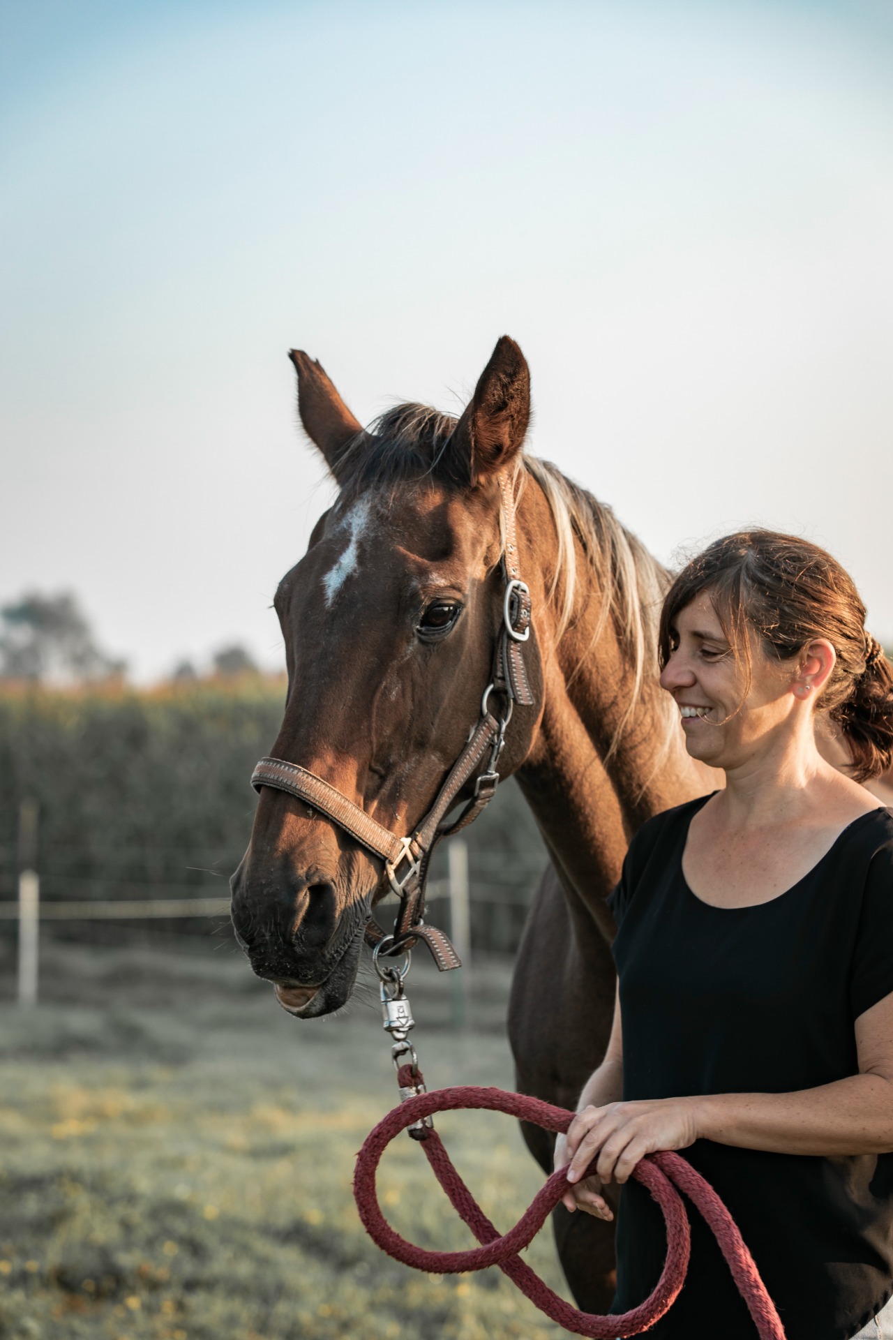 Tinne Bervoets, horse reflected coach, bij haar merrie Skin Drop op de weide.