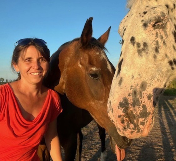 Tinne Bervoets, horse reflected coach of paardencoach, buiten op de weide tussen twee ontspannen paarden